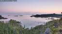 ./images/calvert/foggy-cove/20260713/foggy-cove20260713_052501M.jpg