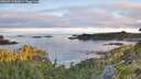 ./images/calvert/foggy-cove/20260713/foggy-cove20260713_062001M.jpg