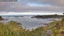 ./images/calvert/foggy-cove/20260713/foggy-cove20260713_074502M.jpg