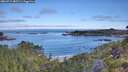 ./images/calvert/foggy-cove/20260713/foggy-cove20260713_082501M.jpg