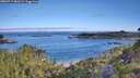 ./images/calvert/foggy-cove/20260713/foggy-cove20260713_083501M.jpg