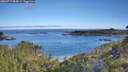 ./images/calvert/foggy-cove/20260713/foggy-cove20260713_084001M.jpg
