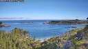 ./images/calvert/foggy-cove/20260713/foggy-cove20260713_085001M.jpg