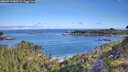 ./images/calvert/foggy-cove/20260713/foggy-cove20260713_085501M.jpg
