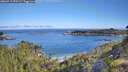 ./images/calvert/foggy-cove/20260713/foggy-cove20260713_090501M.jpg