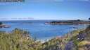 ./images/calvert/foggy-cove/20260713/foggy-cove20260713_091001M.jpg