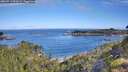./images/calvert/foggy-cove/20260713/foggy-cove20260713_092001M.jpg