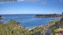./images/calvert/foggy-cove/20260713/foggy-cove20260713_092501M.jpg