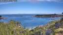 ./images/calvert/foggy-cove/20260713/foggy-cove20260713_093001M.jpg