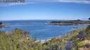 ./images/calvert/foggy-cove/20260713/foggy-cove20260713_093501M.jpg
