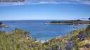 ./images/calvert/foggy-cove/20260713/foggy-cove20260713_094501M.jpg