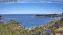 ./images/calvert/foggy-cove/20260713/foggy-cove20260713_095001M.jpg