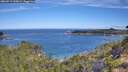 ./images/calvert/foggy-cove/20260713/foggy-cove20260713_100002M.jpg