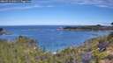 ./images/calvert/foggy-cove/20260713/foggy-cove20260713_100501M.jpg