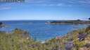 ./images/calvert/foggy-cove/20260713/foggy-cove20260713_101501M.jpg