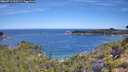 ./images/calvert/foggy-cove/20260713/foggy-cove20260713_102501M.jpg