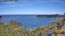 ./images/calvert/foggy-cove/20260713/foggy-cove20260713_103001M.jpg