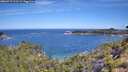 ./images/calvert/foggy-cove/20260713/foggy-cove20260713_103501M.jpg