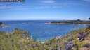 ./images/calvert/foggy-cove/20260713/foggy-cove20260713_104001M.jpg