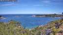 ./images/calvert/foggy-cove/20260713/foggy-cove20260713_104501M.jpg