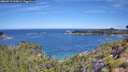./images/calvert/foggy-cove/20260713/foggy-cove20260713_105001M.jpg