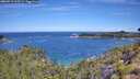 ./images/calvert/foggy-cove/20260713/foggy-cove20260713_105501M.jpg