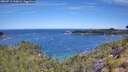 ./images/calvert/foggy-cove/20260713/foggy-cove20260713_110001M.jpg