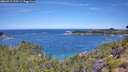 ./images/calvert/foggy-cove/20260713/foggy-cove20260713_110501M.jpg