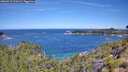 ./images/calvert/foggy-cove/20260713/foggy-cove20260713_111001M.jpg