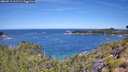 ./images/calvert/foggy-cove/20260713/foggy-cove20260713_111501M.jpg