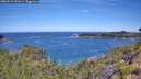 ./images/calvert/foggy-cove/20260713/foggy-cove20260713_112001M.jpg