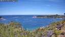 ./images/calvert/foggy-cove/20260713/foggy-cove20260713_112501M.jpg