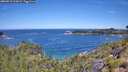 ./images/calvert/foggy-cove/20260713/foggy-cove20260713_113001M.jpg