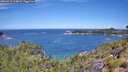 ./images/calvert/foggy-cove/20260713/foggy-cove20260713_114001M.jpg