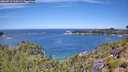 ./images/calvert/foggy-cove/20260713/foggy-cove20260713_114501M.jpg