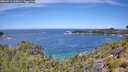 ./images/calvert/foggy-cove/20260713/foggy-cove20260713_115001M.jpg