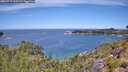 ./images/calvert/foggy-cove/20260713/foggy-cove20260713_115501M.jpg