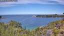 ./images/calvert/foggy-cove/20260713/foggy-cove20260713_121502M.jpg