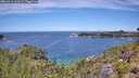 ./images/calvert/foggy-cove/20260713/foggy-cove20260713_122001M.jpg
