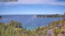 ./images/calvert/foggy-cove/20260713/foggy-cove20260713_124001M.jpg