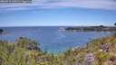 ./images/calvert/foggy-cove/20260713/foggy-cove20260713_125001M.jpg