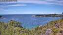 ./images/calvert/foggy-cove/20260713/foggy-cove20260713_131002M.jpg
