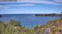 ./images/calvert/foggy-cove/20260713/foggy-cove20260713_131501M.jpg