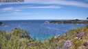 ./images/calvert/foggy-cove/20260713/foggy-cove20260713_132001M.jpg
