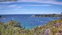./images/calvert/foggy-cove/20260713/foggy-cove20260713_132501M.jpg