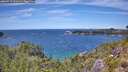 ./images/calvert/foggy-cove/20260713/foggy-cove20260713_133501M.jpg