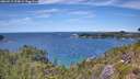 ./images/calvert/foggy-cove/20260713/foggy-cove20260713_134001M.jpg