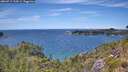 ./images/calvert/foggy-cove/20260713/foggy-cove20260713_134501M.jpg
