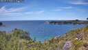 ./images/calvert/foggy-cove/20260713/foggy-cove20260713_135501M.jpg