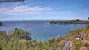 ./images/calvert/foggy-cove/20260713/foggy-cove20260713_141001M.jpg